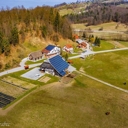 Wooden Cabin Zurej With Hot Tub Bukovje v Babni Gori Zewnętrze zdjęcie