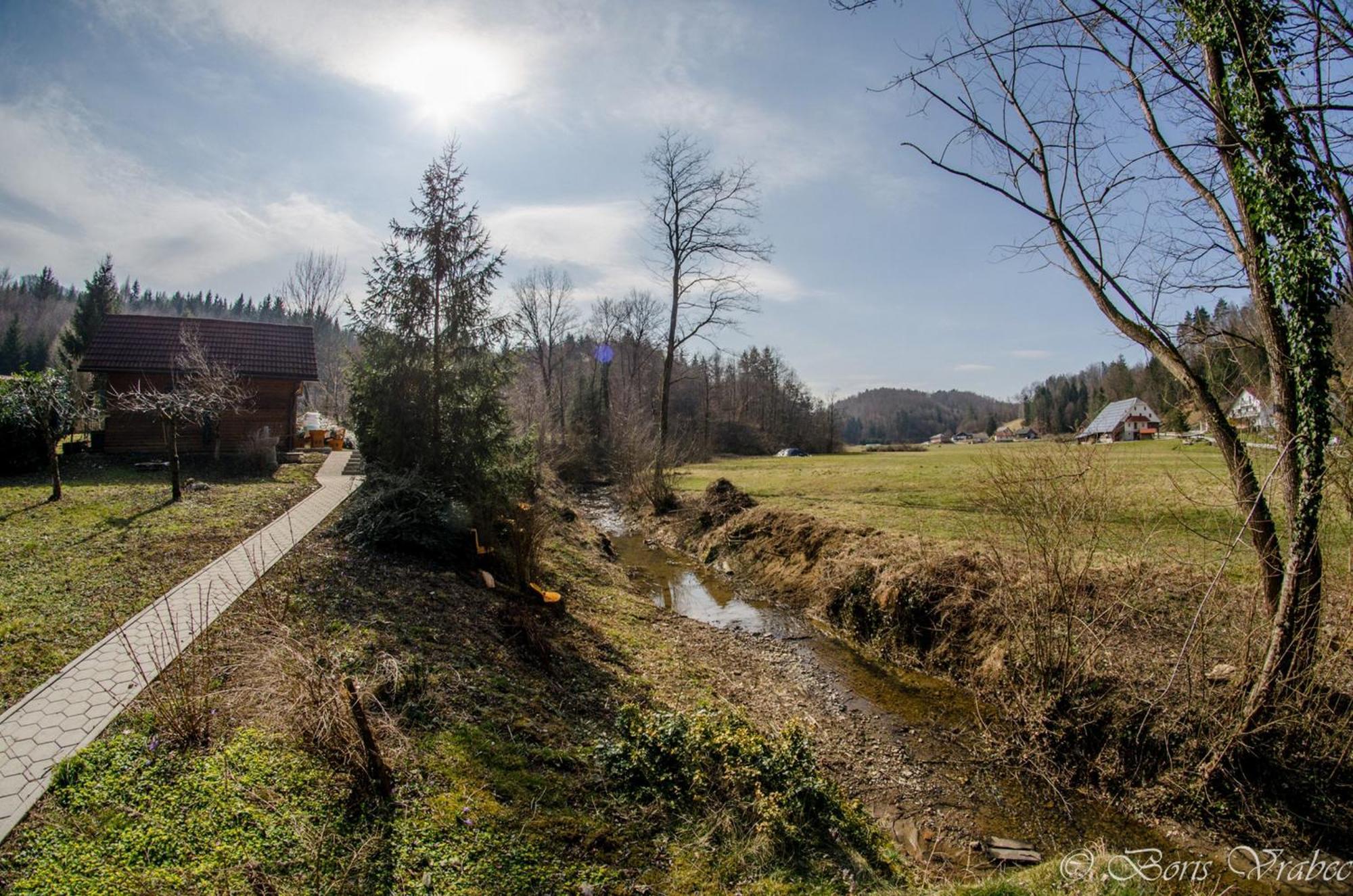 Wooden Cabin Zurej With Hot Tub Bukovje v Babni Gori Zewnętrze zdjęcie