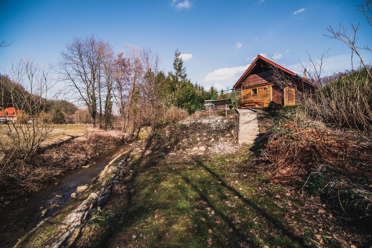 Wooden Cabin Zurej With Hot Tub Bukovje v Babni Gori Zewnętrze zdjęcie